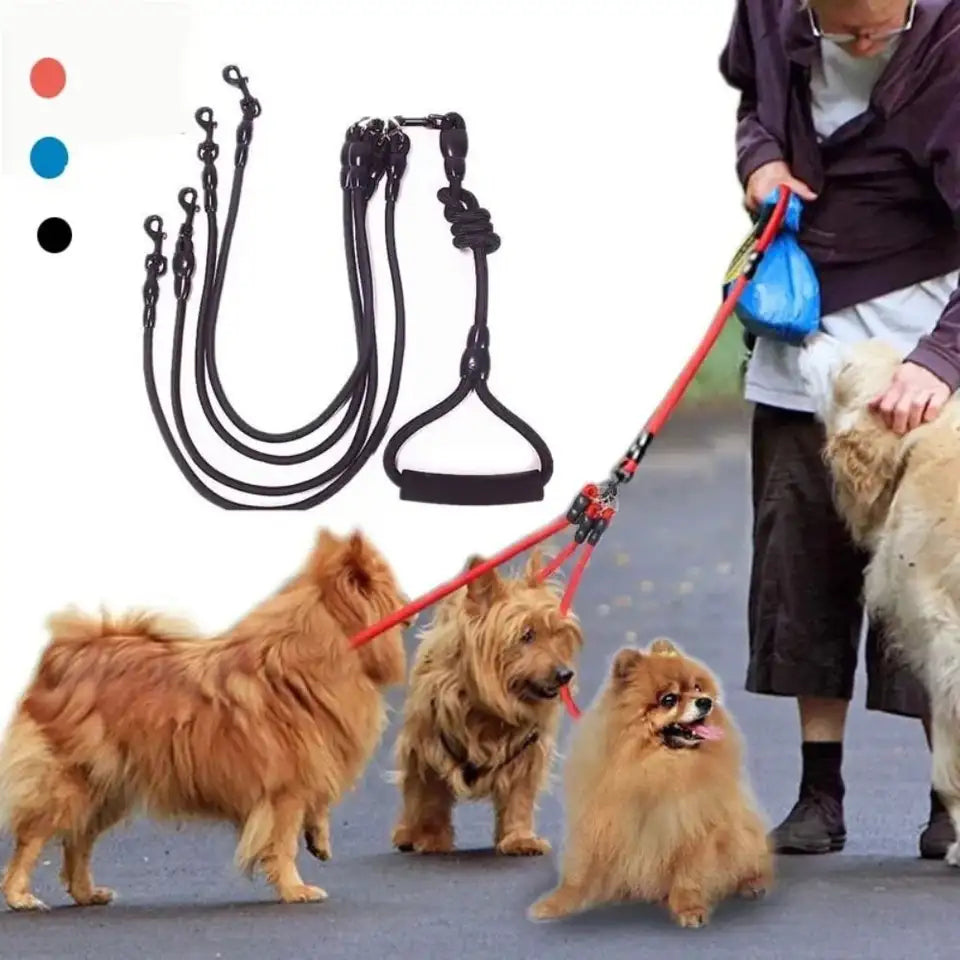 The Double-Up — Dual-Dog Tether