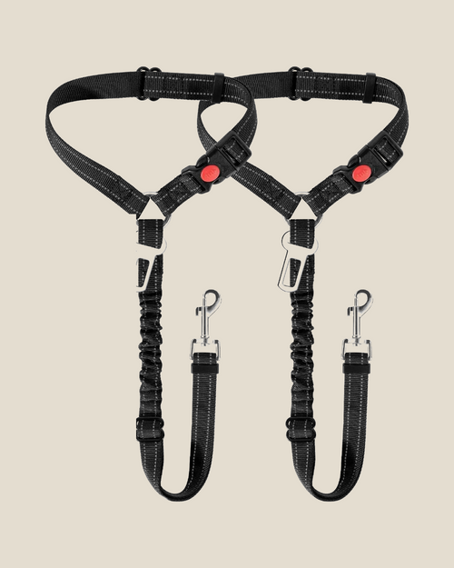 Two black reflective dog car seat-belt tethers with bungee section, seat belt tongue and swivel clip