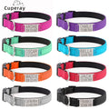 The Nameplate — Engraved Reflective ID Collar