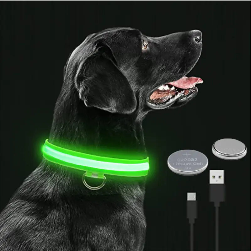 The Nightshift — LED Collar